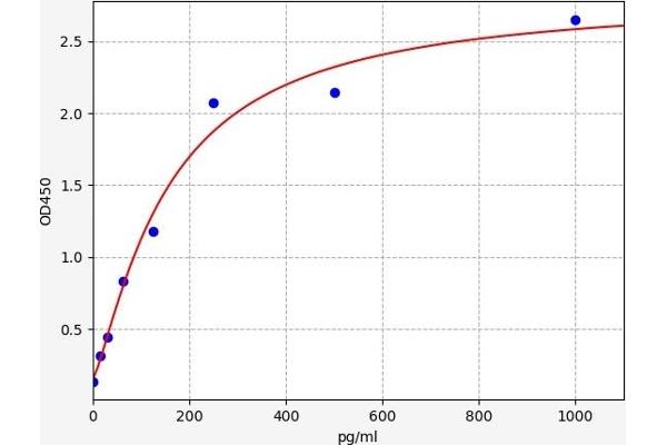 CYR61 ELISA Kit