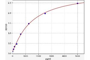 TNFAIP2 ELISA Kit