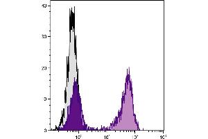 BALB/c mouse splenocytes were stained with Hamster Anti-Mouse CD79b-FITC. (CD79b antibody)