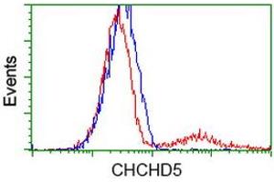 Image no. 2 for anti-Coiled-Coil-Helix-Coiled-Coil-Helix Domain Containing 5 (CHCHD5) antibody (ABIN1497489) (CHCHD5 antibody)