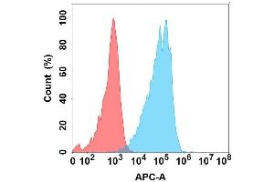 Flow cytometry analysis with Anti- on Expi293 cells transfected with human (Blue histogram) or Expi293 transfected with irrelevant protein (Red histogram). (BST1 antibody)