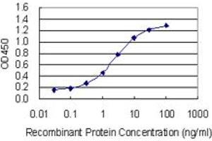 Detection limit for recombinant GST tagged ITSN1 is 0. (ITSN1 antibody  (AA 588-675))