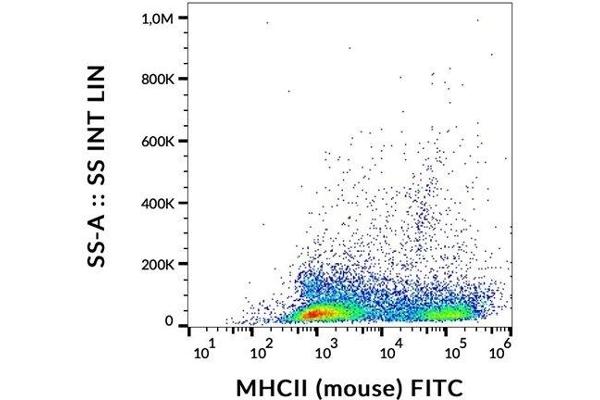 MHC Class II antibody  (FITC)