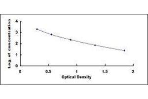 ELISA image for gamma-Aminobutyric Acid (GABA) ELISA Kit (ABIN1118057) (GABA ELISA Kit)