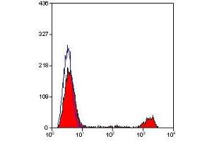 Flow Cytometry (FACS) image for anti-Killer Cell Lectin-Like Receptor Subfamily B, Member 1 (KLRB1) antibody (ABIN2478710) (CD161 antibody)