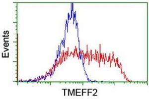 HEK293T cells transfected with either RC203736 overexpress plasmid (Red) or empty vector control plasmid (Blue) were immunostained by anti-TMEFF2 antibody (ABIN2455705), and then analyzed by flow cytometry. (TMEFF2 antibody)
