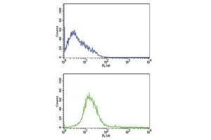 CD31 antibody flow cytometric analysis of HL-60 cells (bottom histogram) compared to a negative control cell (top histogram). (CD31 antibody  (AA 690-718))