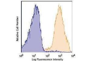 Flow Cytometry (FACS) image for anti-CD90/CD90.1 antibody (APC-Cy7) (ABIN2660713) (CD90/CD90.1 antibody (APC-Cy7))