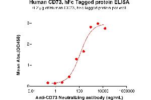 ELISA plate pre-coated by 2 μg/mL (100 μL/well) Human CD73 Protein, hFc Tag (ABIN6964149, ABIN7042505 and ABIN7042506) can bind Anti-CD73 Neutralizing antibody ABIN7478021 and ABIN7490975 in a linear range of 3. (CD73 Protein (AA 27-549) (Fc Tag))