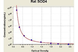 Diagramm of the ELISA kit to detect Rat SOD4with the optical density on the x-axis and the concentration on the y-axis. (Superoxide Dismutase 4, Copper Chaperone ELISA Kit)