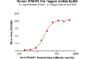 ELISA plate pre-coated by 1 μg/mL (100 μL/well) Human IF Protein, His Tag (ABIN6964273, ABIN7042727 and ABIN7042728) can bind Anti-IF Neutralizing antibody ABIN7478013 and ABIN7490965 in a linear range of 0. (IFNAR1 Protein (AA 28-436) (His tag))