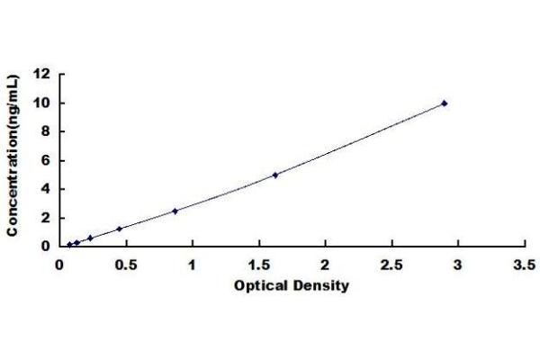 Dermatopontin ELISA Kit