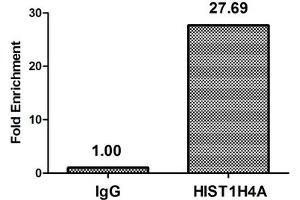 Chromatin Immunoprecipitation Hela (4*10 6 ) were treated with Micrococcal Nuclease, sonicated, and immunoprecipitated with 5 μg anti-HIST1H4A (nme1HU) or a control normal rabbit IgG. (HIST1H4A antibody)