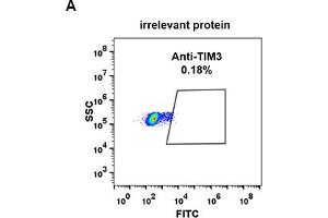 Expi 293 cell line transfected with irrelevant protein  (A) and human  (B) were surface stained with Rabbit anti- monoclonal antibody 1 μg/mL (clone: DM81) followed by Alexa 488-conjugated anti-rabbit IgG secondary antibody. (TIM3 antibody  (AA 22-202))