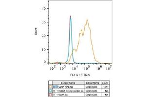 Flow cytometry: TF-1 cells were stained with Rabbit IgG isotype control (, 10 μg/mL, blue line) or CD34 Rabbit mAb (ABIN7266187, 10 μg/mL orange line), followed by FITC conjugated goat anti-Rabbit pAb (1:200 dilution) staining. (CD34 antibody)