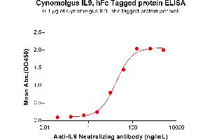 ELISA plate pre-coated by 1 μg/mL (100 μL/well) Cynomolgus IL9 Protein, hFc Tag (ABIN7455417, ABIN7490677 and ABIN7490679) can bind Anti-IL9 Neutralizing antibody (ABIN7455963 and ABIN7490969) in a linear range of 2. (IL-9 Protein (AA 19-144) (Fc Tag))
