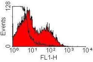 Flow Cytometry (FACS) image for Mouse anti-Rat Ig (Chain kappa), (Light Chain) antibody (HRP) (ABIN2475205) (Mouse anti-Rat Ig (Chain kappa), (Light Chain) Antibody (HRP))