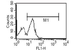 Flow Cytometry (FACS) image for anti-CD14 (CD14) antibody (ABIN1105869) (CD14 antibody)