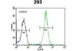 Flow cytometric analysis of 293 cells using LRRC57 Antibody (C-term) Cat. (LRRC57 antibody  (C-Term))