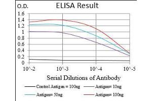 Black line: Control Antigen (100 ng), Purple line: Antigen(10 ng), Blue line: Antigen (50 ng), Red line: Antigen (100 ng), (PON1 antibody  (AA 20-155))