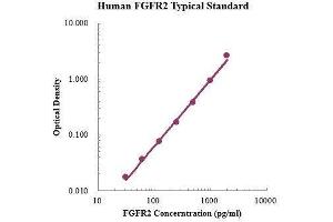 ELISA image for Fibroblast Growth Factor Receptor 2 (FGFR2) ELISA Kit (ABIN3199218) (FGFR2 ELISA Kit)