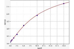 Typical standard curve (SNX9 ELISA Kit)