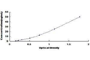 Typical Standard Curve (ALPL ELISA Kit)