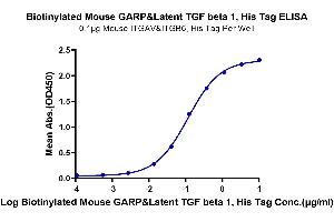 Immobilized Mouse ITGAV&ITGB6, His Tag at 1 μg/mL (100 μL/well) on the plate. (GARP & Latent TGF beta 1 Complex (AA 18-628) protein (His-Avi Tag,Biotin))