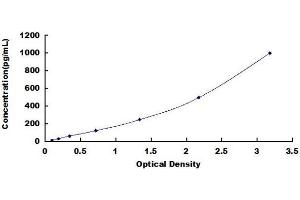 Typical standard curve (CRLF1 ELISA Kit)