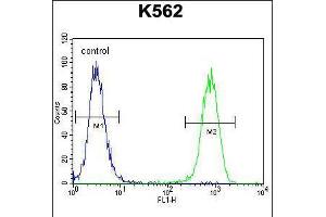 Flow cytometric analysis of K562 cells (right histogram) compared to a negative control cell (left histogram). (SMARCA5 antibody  (C-Term))