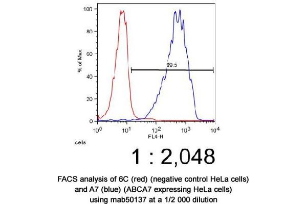 ABCA7 antibody