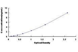 ELISA image for Slit Homolog 3 (SLIT3) ELISA Kit (ABIN433608) (SLIT3 ELISA Kit)