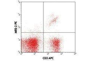 Flow Cytometry (FACS) image for anti-TCR V Beta8.1 antibody (PE) (ABIN2662873) (TCR V Beta8.1 antibody (PE))