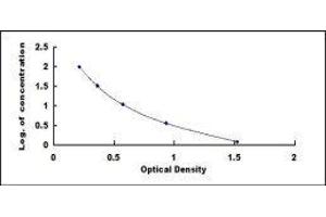 ELISA image for Luteinizing Hormone (LH) ELISA Kit (ABIN414314) (Luteinizing Hormone ELISA Kit)