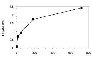 Typical standard curve (Anti-TPO IgG ELISA Kit)