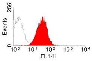 Flow Cytometry (FACS) image for anti-MHC Class I (RT1Ac) antibody (ABIN2475609) (MHC Class I (RT1Ac) antibody)