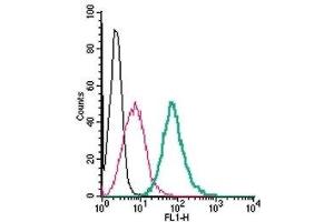 Cell surface detection of GPER1 in live intact mouse J774 macrophage cells: (black line) Cells. (GPER antibody  (3rd Extracellular Loop) (FITC))