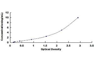 Typical standard curve (CD200R1 ELISA Kit)