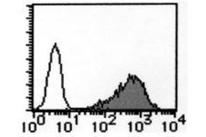 Flow Cytometry (FACS) image for anti-Transferrin Receptor (p90, CD71) (TFRC) antibody (ABIN1449271) (Transferrin Receptor antibody)