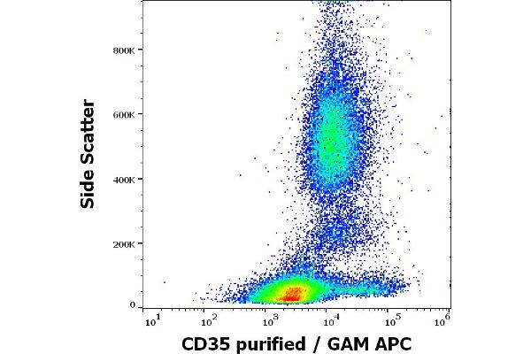 CD35 anticorps