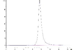 The purity of Human FGFR2 beta (IIIb) is greater than 95 % as determined by SEC-HPLC. (FGFR2 beta (AA 152-378) protein (His tag))