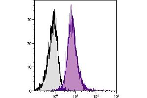 BALB/c mouse splenocytes were stained with Rat Anti-Mouse CD11a-PE/CY7. (ITGAL antibody  (Biotin))