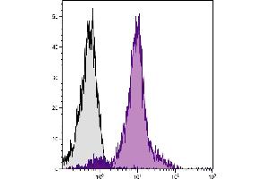 BALB/c mouse splenocytes were stained with Rat Anti-Mouse CD49d-PE. (ITGA4 antibody  (PE))