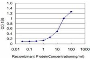 Detection limit for recombinant GST tagged FLT4 is approximately 1ng/ml as a capture antibody. (FLT4 antibody  (AA 34-133))