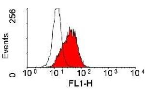 Flow Cytometry (FACS) image for anti-Activated Leukocyte Cell Adhesion Molecule (ALCAM) antibody (ABIN2478745) (CD166 antibody)