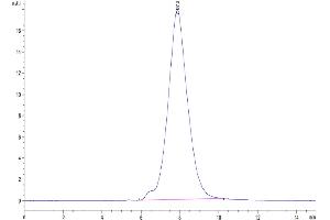 Size-exclusion chromatography-High Pressure Liquid Chromatography (SEC-HPLC) image for CD47 (CD47) (AA 19-139) protein (His tag) (ABIN7274220)