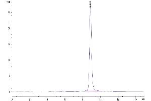 The purity of Human CD14 is greater than 95 % as determined by SEC-HPLC. (CD14 Protein (CD14) (AA 20-344) (His tag))