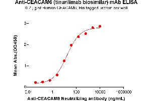ELISA plate pre-coated by 2 μg/mL (100 μL/well) Human CEA Protein, His Tag ABIN6964142, ABIN7042563 and ABIN7042564 can bind Anti-CEA Neutralizing antibody (ABIN7477999 and ABIN7490936) in a linear range of 0. (Recombinant CEACAM6 (Tinurilimab Biosimilar) antibody)