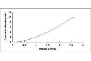 ELISA image for Pyruvate Dehydrogenase (Lipoamide) alpha 1 (PDHA1) ELISA Kit (ABIN414504) (PDHA1 ELISA Kit)