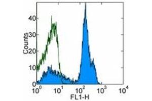 Image no. 1 for anti-CD38 antibody (FITC) (ABIN474147) (CD38 抗体  (FITC))